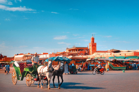 De Taghazout ou Agadir: Passeio guiado de um dia em MarrakechDe Agadir: Marrakech the Red City Guided Day Tour