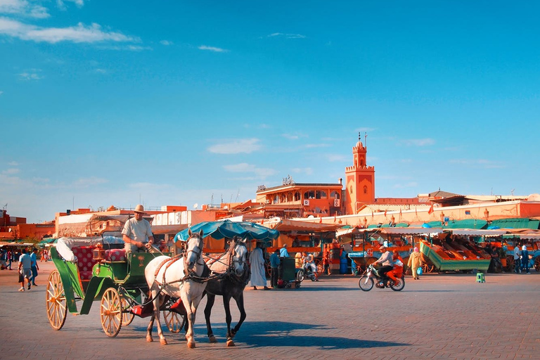 Z Agadiru: jednodniowa wycieczka z przewodnikiem po Marrakeszu po Czerwonym MieścieZ Taghazout: jednodniowa wycieczka z przewodnikiem po Marrakeszu