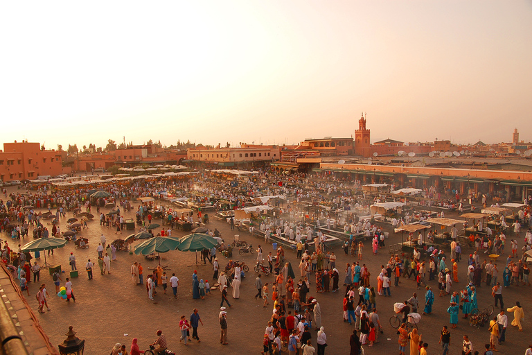 Från Taghazout eller Agadir: Guidad dagsutflykt till MarrakechFrån Agadir: Marrakech den röda staden guidad dagstur