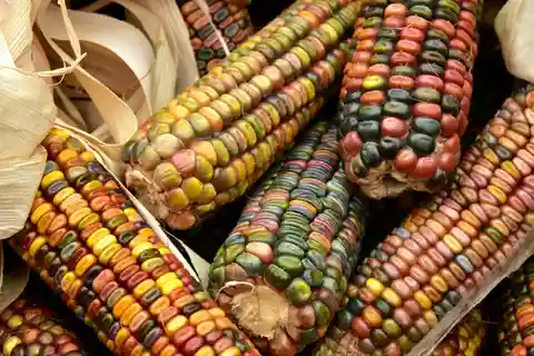 Chiapas : une aventure culinaire à la découverte de la gastronomie locale