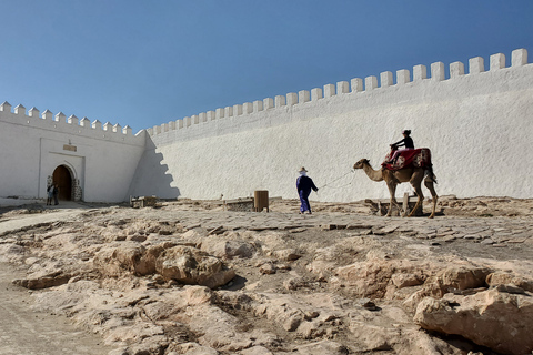 Agadir: Bilhete de teleférico e passeio guiado pela cidadeDe Agadir: bilhete de teleférico e passeio guiado pela cidade