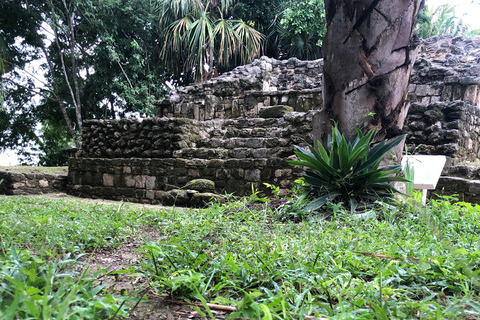 From Chetumal/Bacalar: Chacchoben Mayan Ruins Guided Tour