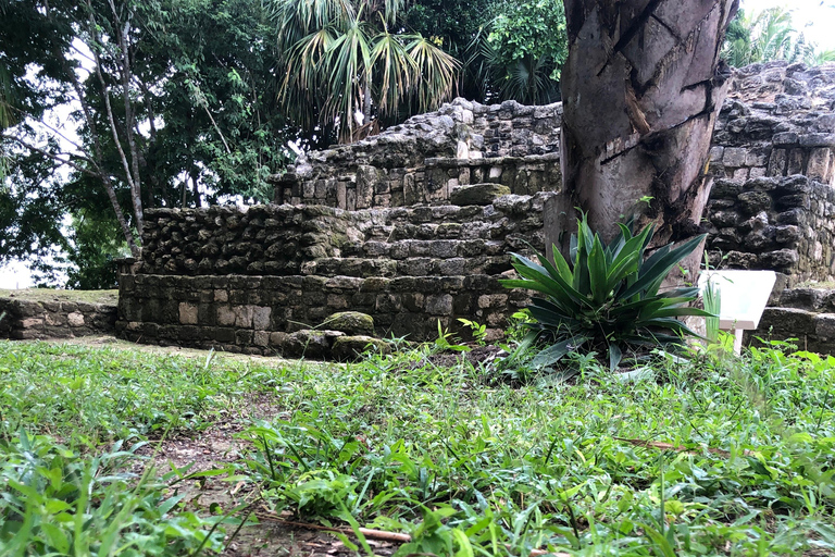 From Chetumal/Bacalar: Chacchoben Mayan Ruins Guided Tour
