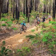 Dwellingup: Munda Biddi Explorer