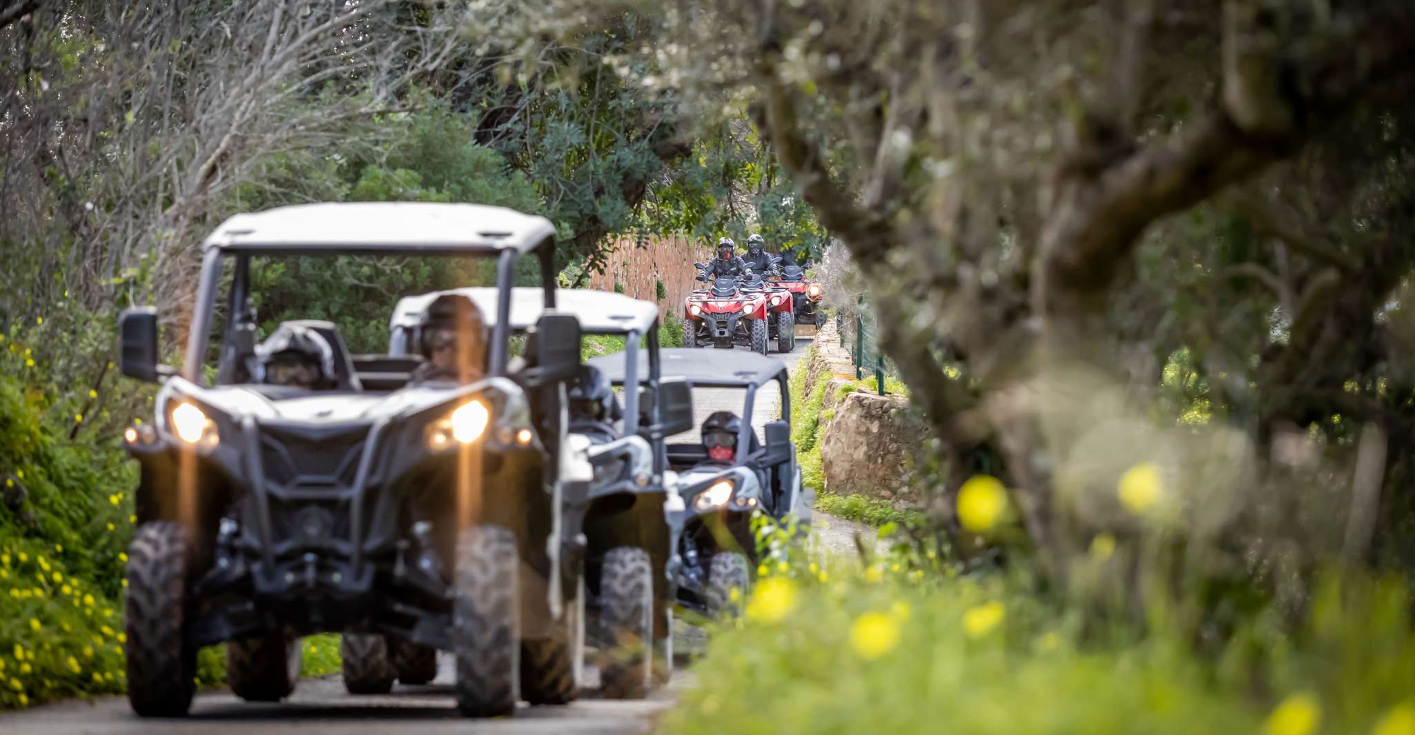 Almancil, Algarve Guided Off-Road Buggy Adventure - Housity