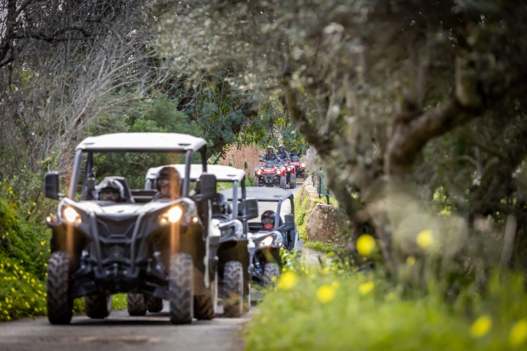 Almancil: begeleide off-road buggy-/quadtour door de AlgarveBuggy 2 zitplaatsen - Zonder Pick-up