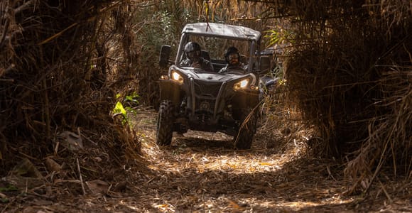 Almancil: Algarve Guided Off-Road Buggy Adventure