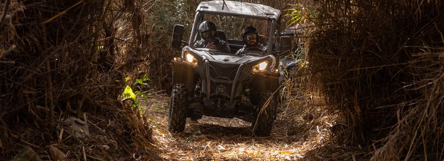 Almancil : Aventure guidée en buggy tout-terrain en Algarve