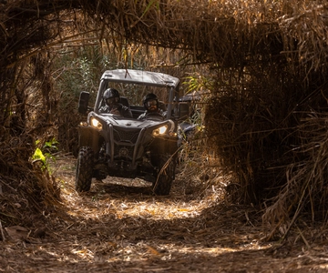 Almancil: Algarve Guided Off-Road Buggy Adventure