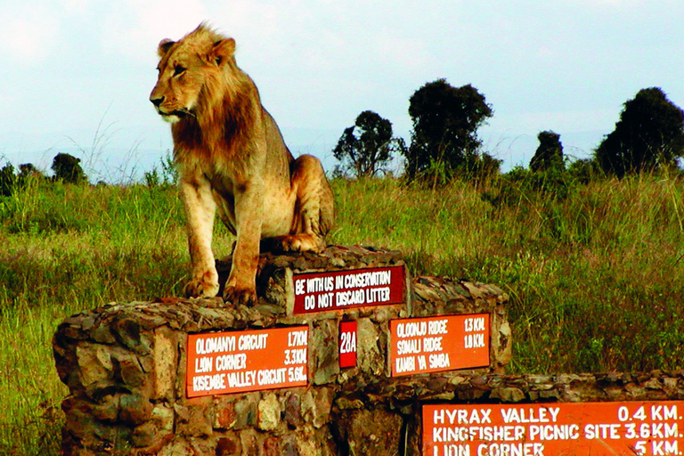 Park Narodowy Nairobi Game Drive z bezpłatnym odbiorem z hotelu