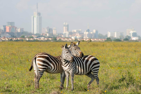 Safari dans le parc national de Nairobi avec prise en charge gratuite à l'hôtel