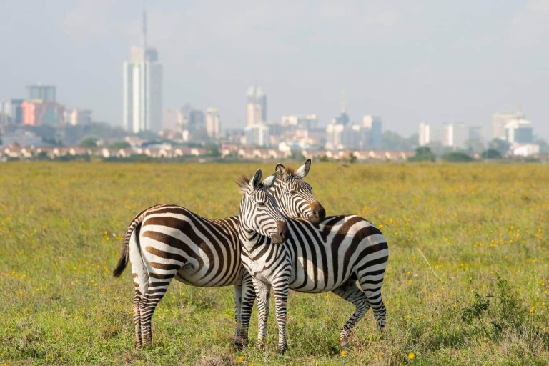 Park Narodowy Nairobi Game Drive z bezpłatnym odbiorem z hotelu