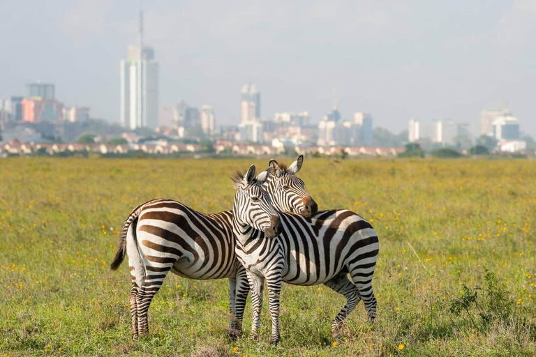 Safari dans le parc national de Nairobi avec prise en charge gratuite à l'hôtel