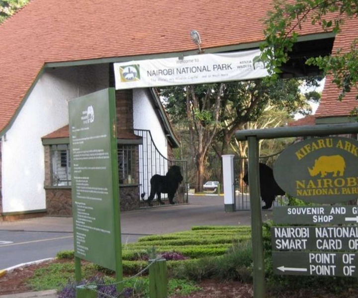 Nairobi National Park: Game Drive Tour with Pickup