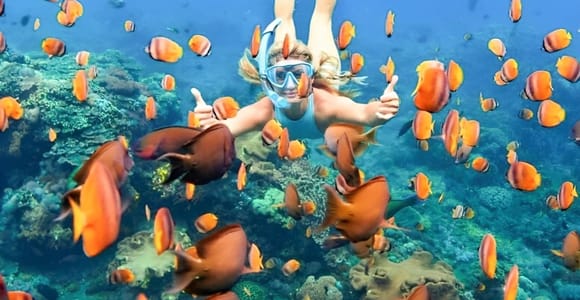 Bali: Blue Lagoon Beach Snorkeling Tour with Lunch