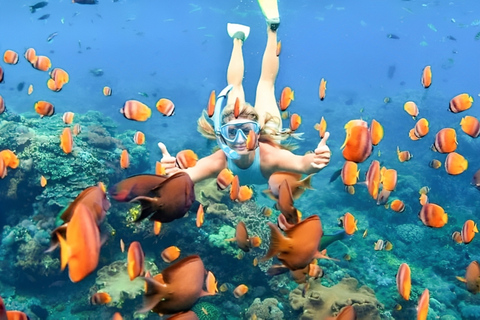 Bali: snorkeling alla Laguna Blu, cascate Kanto Lampo e TibumanaTour privato | Trasferimento privato (una macchina)