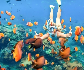 Bali: Blue Lagoon Beach Snorkeling Tour with Lunch