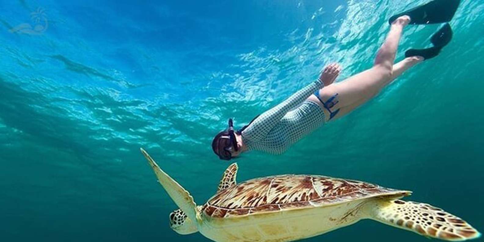 Bali: Blue Lagoon Beach Snorkeling Tour with Lunch
