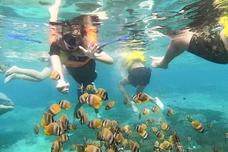 Bali: Snorkling i Blå lagunen, vattenfallen Kanto Lampo och TibumanaPrivat tur | Privat transfer (en bil)