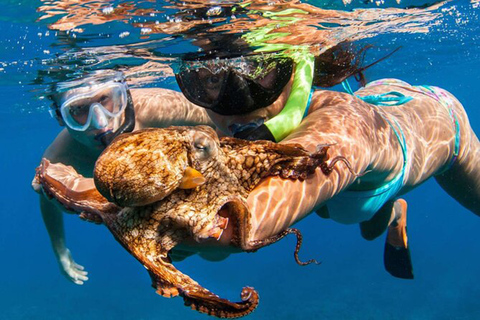 Bali: Snorkling i Blå lagunen, vattenfallen Kanto Lampo och TibumanaPrivat tur | Privat transfer (en bil)