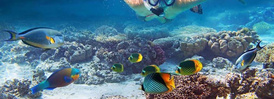 Bali : Plongée en apnée au Lagon Bleu, Kanto Lampo et chutes d'eau de Tibumana