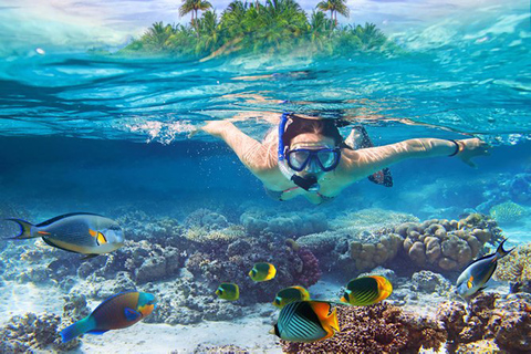 Bali: Blue Lagoon Beach All-Inclusive Snorkeling Tour Shared Tour: Meet at Blue Lagoon Beach