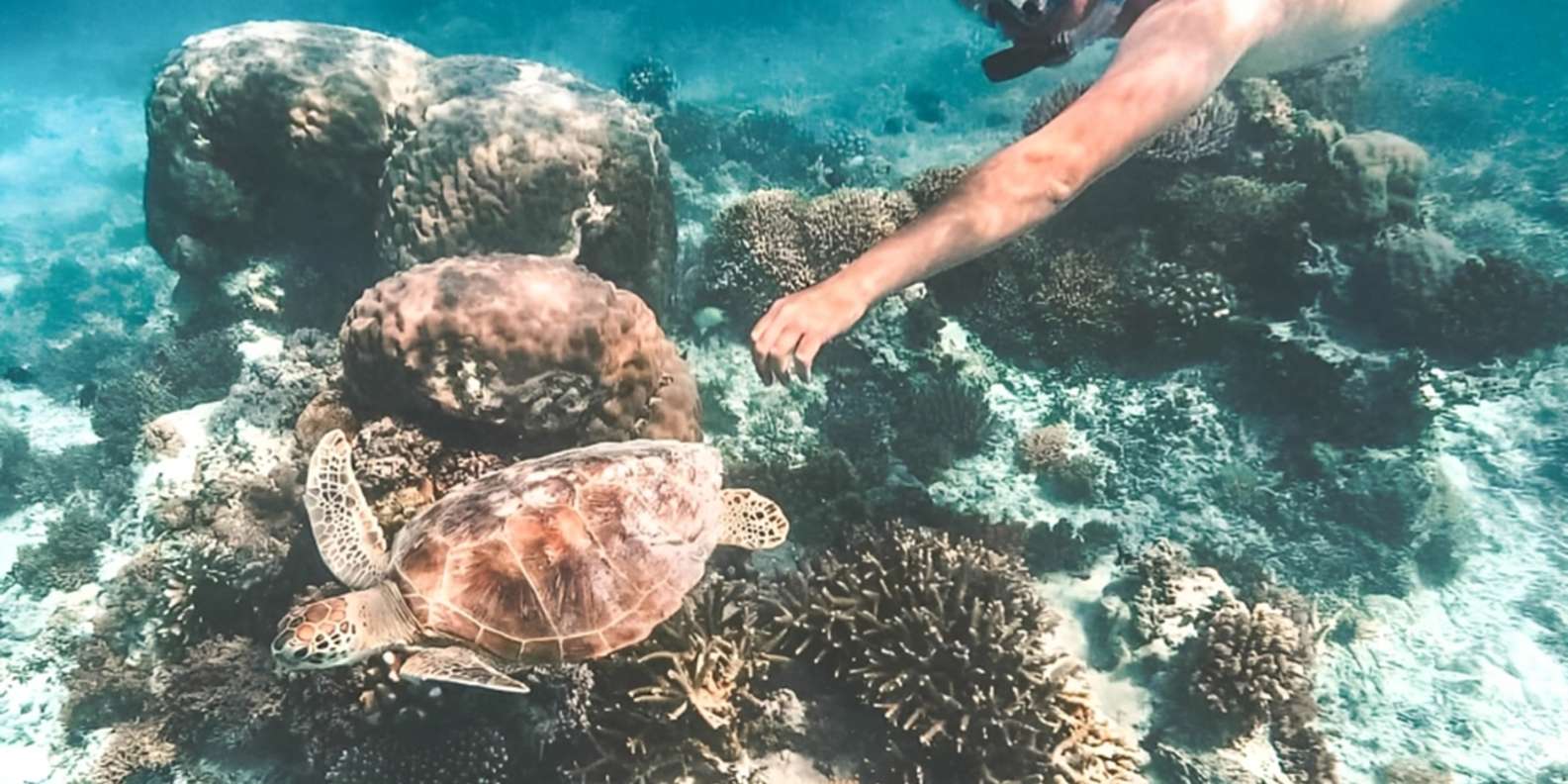 Bali: Blue Lagoon Beach Snorkeling Tour with Lunch