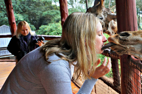 Halve dag Baby Elephant Orphanage Giraffe Centre Rondleiding