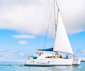 Fuerteventura: Lobos Island Catamaran Cruise with Lunch