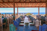 Cabo, Todo Santos Tour with Camel Ranch, Tequila and Lunch - Housity