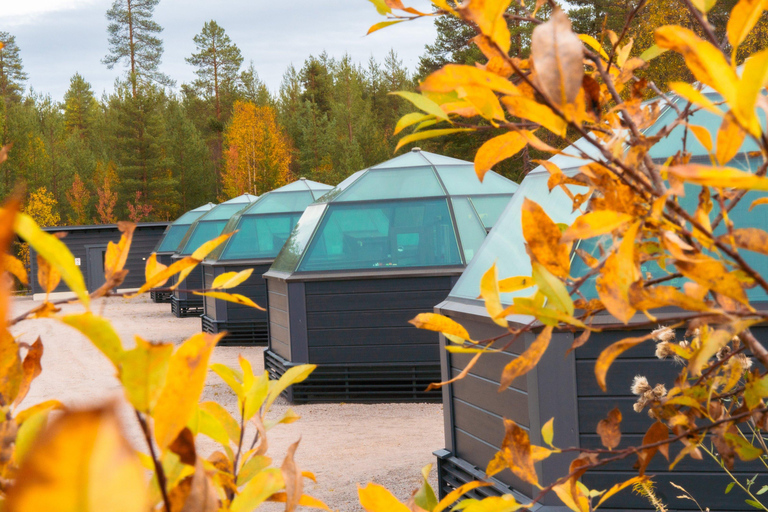 Rovaniemi: Ice sculpting, Sauna Experience & Dinner autumn