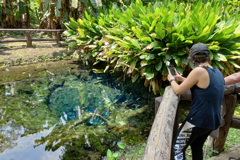 Chiang Mai: 22 km di XC in mountain bike da Sticky WaterfallDa Chiang Mai: escursione alle cascate e giro in mountain bike con pranzo