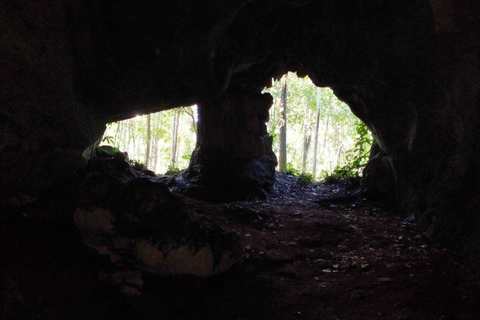 Caminata a la Cascada Pegajosa y Paseo en Bicicleta de Montaña hasta la Presa de Mae Kuang