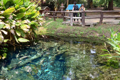 Chiang Mai: 22 km di XC in mountain bike da Sticky WaterfallDa Chiang Mai: escursione alle cascate e giro in mountain bike con pranzo