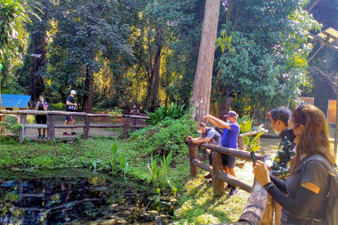 Sticky Waterfall Hike & Mountain Bike Ride to Mae Kuang Dam