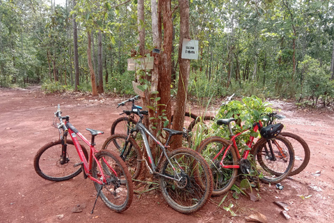 Wanderung zum Klebrigen Wasserfall und Mountainbike-Fahrt zum Mae Kuang Damm