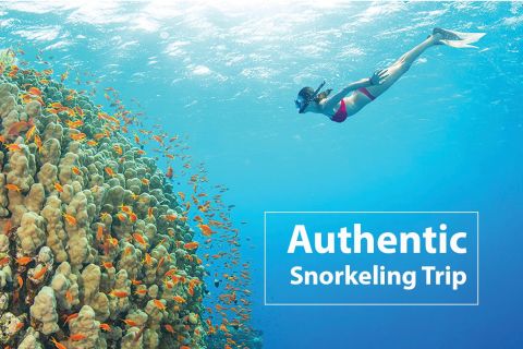 Phu Quoc Authentic Snorkeling to 4 islands by speedboat &BBQ