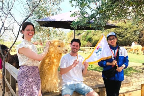 Da Lat: City Highlights Guided Tour