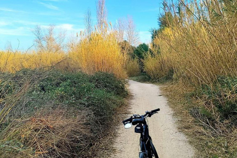 Active Bike Tour: River Turia Natural Park. Private Bike Tour 5 hours