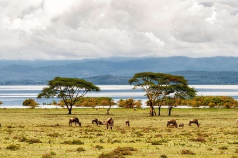 Excursión al Parque Nacional del Lago Nakuru y el Lago Naivasha con paseo en barco