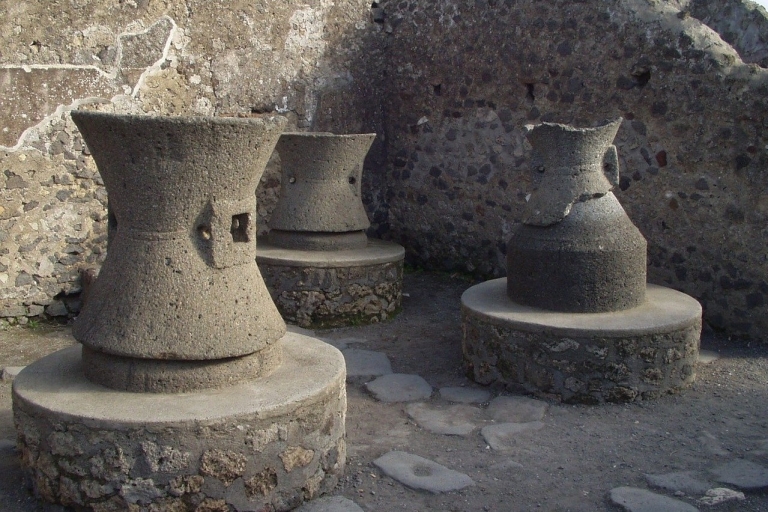 Pompeii: 2-Hour Private Guided Tour
