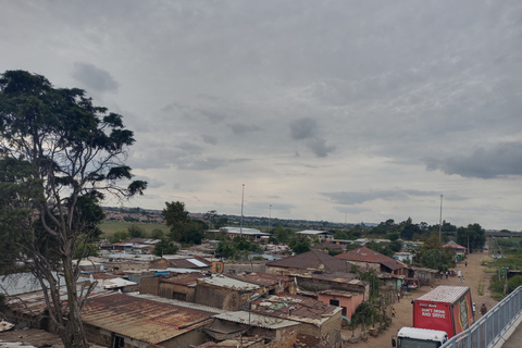 Johannesburg: Private Guided City Tour with Apartheid Museum