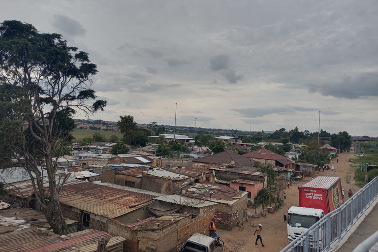 Johannesburg: Private Guided City Tour with Apartheid Museum