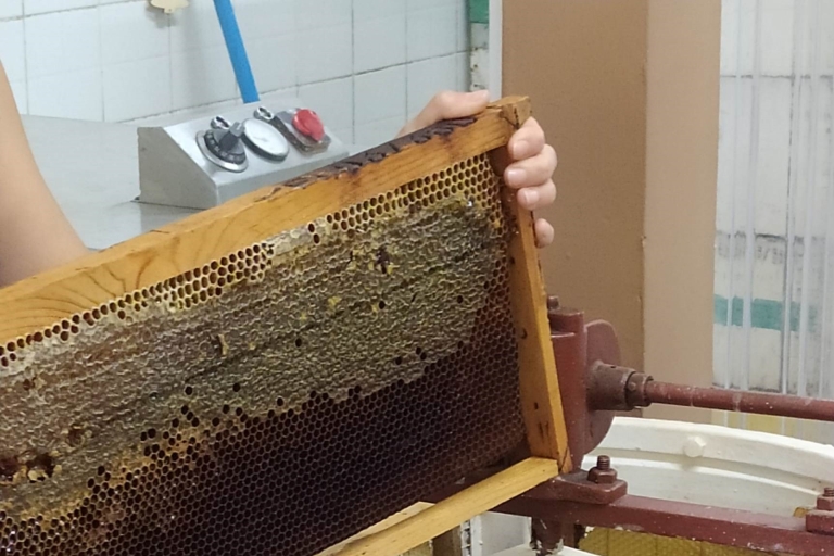 Rethymno:Private Olivenöl- und Honigverkostung mit Mittagessen