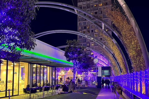 Tokyo Night Walk: Shibuya & Shinjuku Hidden Alleys Private Tour