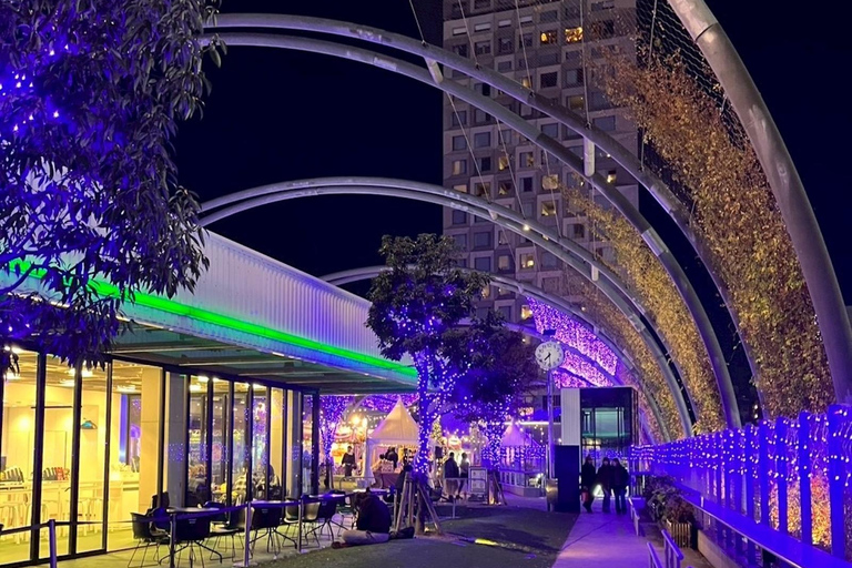 Tokyo Night Walk: Shibuya & Shinjuku Hidden Alleys Private Tour