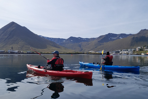 Siglufjörður / Siglufjordur: Geführte Kajaktour.Geführte Kajaktour in Siglufjörður / Siglufjordur.