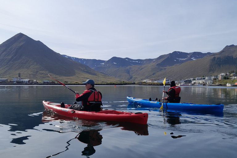 Siglufjörður / Siglufjordur: Geführte Kajaktour.Geführte Kajaktour in Siglufjörður / Siglufjordur.