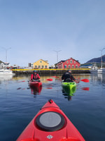 Tour guiada de kayak en Siglufjörður / siglufjordur. - Housity
