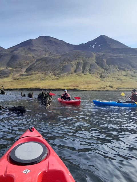 Guided kayak tour in Siglufjörður / Siglufjordur. - Housity